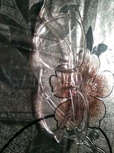 Clear Frame Glasses