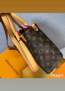 Louis Vuitton Handbags