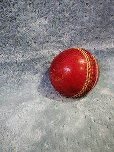 Used Cricket Ball