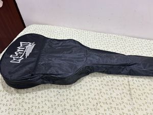 Acoustic guitar