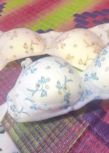 Bras - Two Neutral Colors