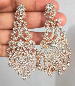 Sparkling Dangle Earrings