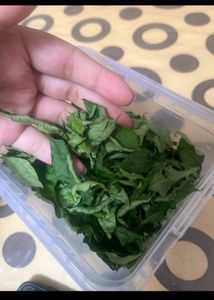 Curry Leaves 300gm.🌿🌿