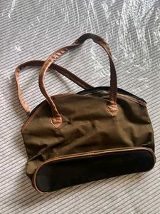 Globe Handbag