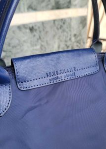 Longchamp Li Pliege bag