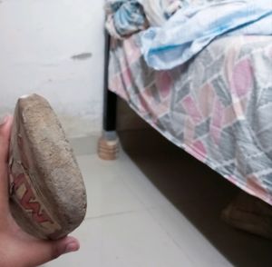 Cricket Bat Only In ₹299 Sachin Tendulkar Signatur