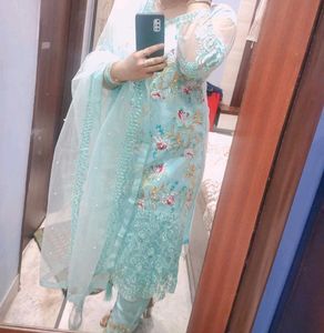 A Very Graceful Sky Blue Colour Pakistai Suit