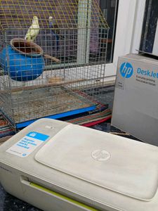 Hp Deskjet1112 Printer