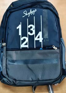 Skybags Backpack
