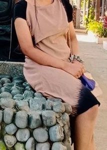 Fish Cut Dress
