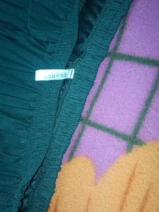 Green Pleated Palazzo Pants