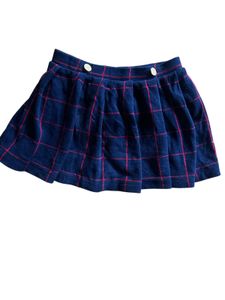 Zara Pleated Mini Skirt