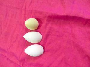 BEAUTY BLENDERS