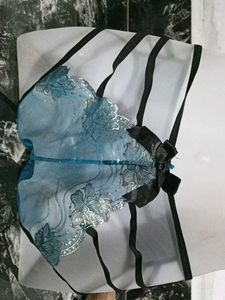Sheer Lace Panties