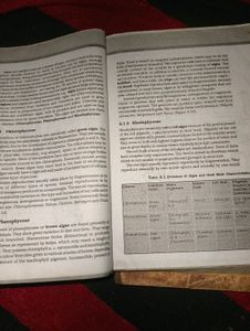 Physics And Chemistry NCERT Textbook