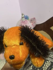 Toy Dog For Sale