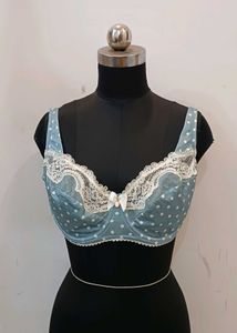 branded non padded bra 36E