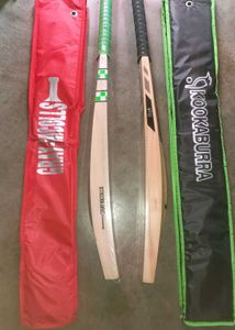 1 Gray Nicholas Cricket Bat