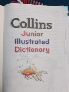 Junior Dictionary