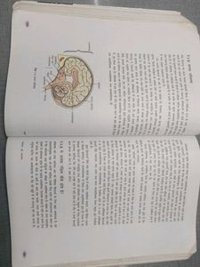 Science In Hindi