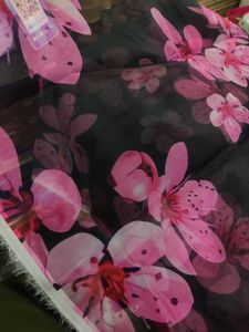 Digital Print Organza  79₹ Per Miter