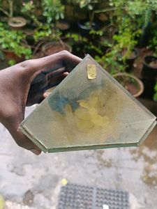 Butterfly &amp; Floral Display Case