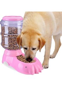 Pet Food Dispenser (Pet Feeder)