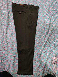 formal Pant