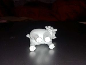 Miniature Elephant🐘
