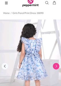 Blue Floral Dress