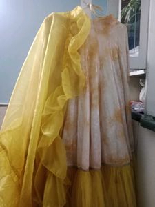 Fish Cut Lehenga Choli