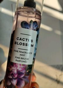 Bbw Cactus Blossom Body Mist