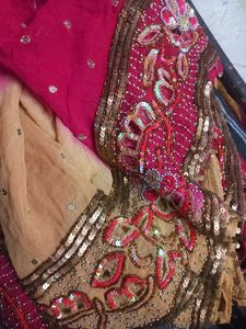 Gorgeous Ethnic Dupatta ❤️✨️