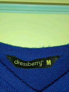 Dress berry Women Blue Solid Sweater