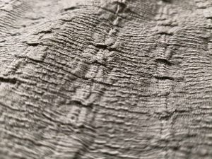 Green Long Sleeve Dress