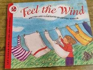 Feel the Wind