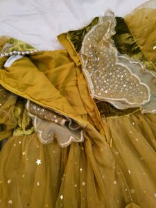 Olive Green Sparkle Tulle Dress