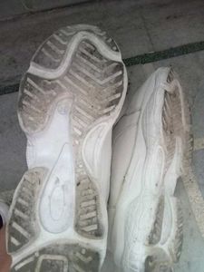 Women&#39;s sneaker shoes