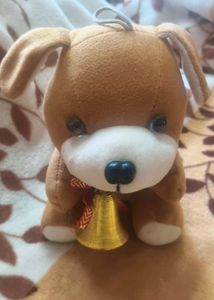 Dog Teddy 🐕