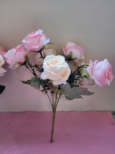 Light Pink Roses