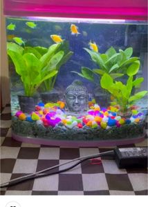 Aquarium FISH TANK