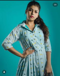Bird Print Collared Dress