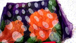 Pure Chiffon Saree3