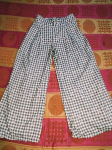 Plazo Pant