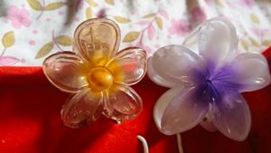 Hair Clutcher Combo OF 6