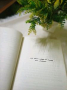 WHY NOT ME NOVEL (based on true story)