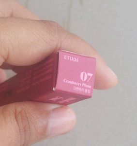 Etude Fixing Tint Cranberry Plum
