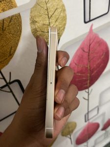iPhone SE 1st Generation Model Gold Display Replacement Needed