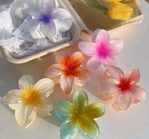 Beautiful Flower Large Size Clatures