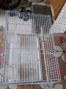 love birds cage